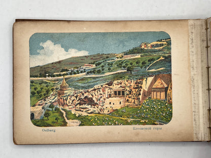 Flowers & Views of the Holy Land c.1890