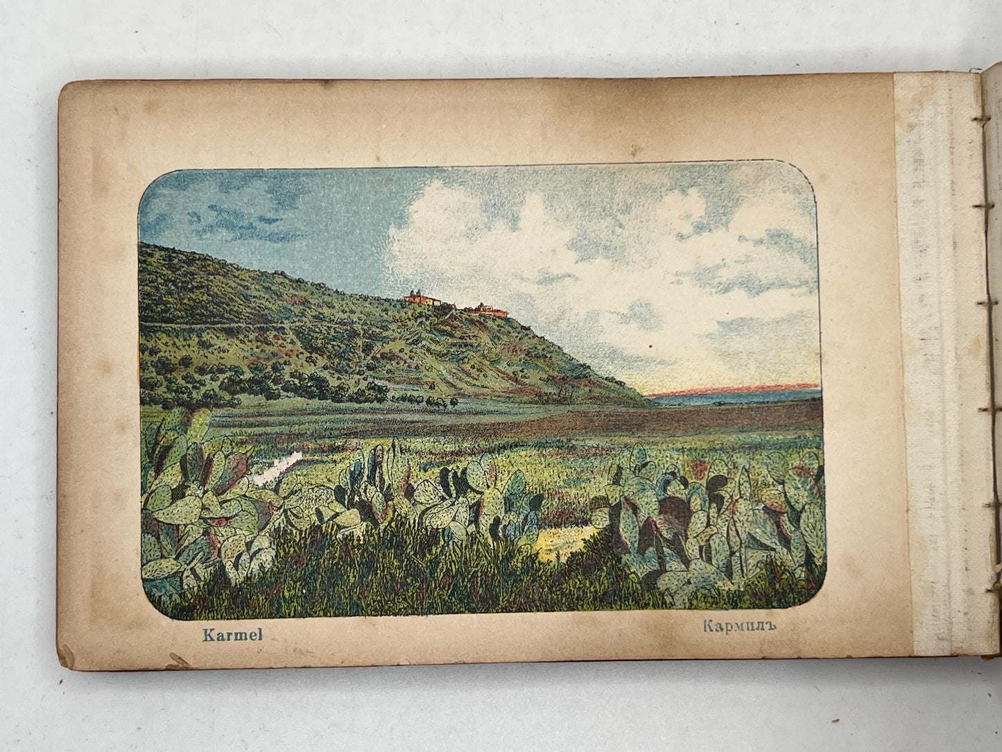 Flowers & Views of the Holy Land c.1890