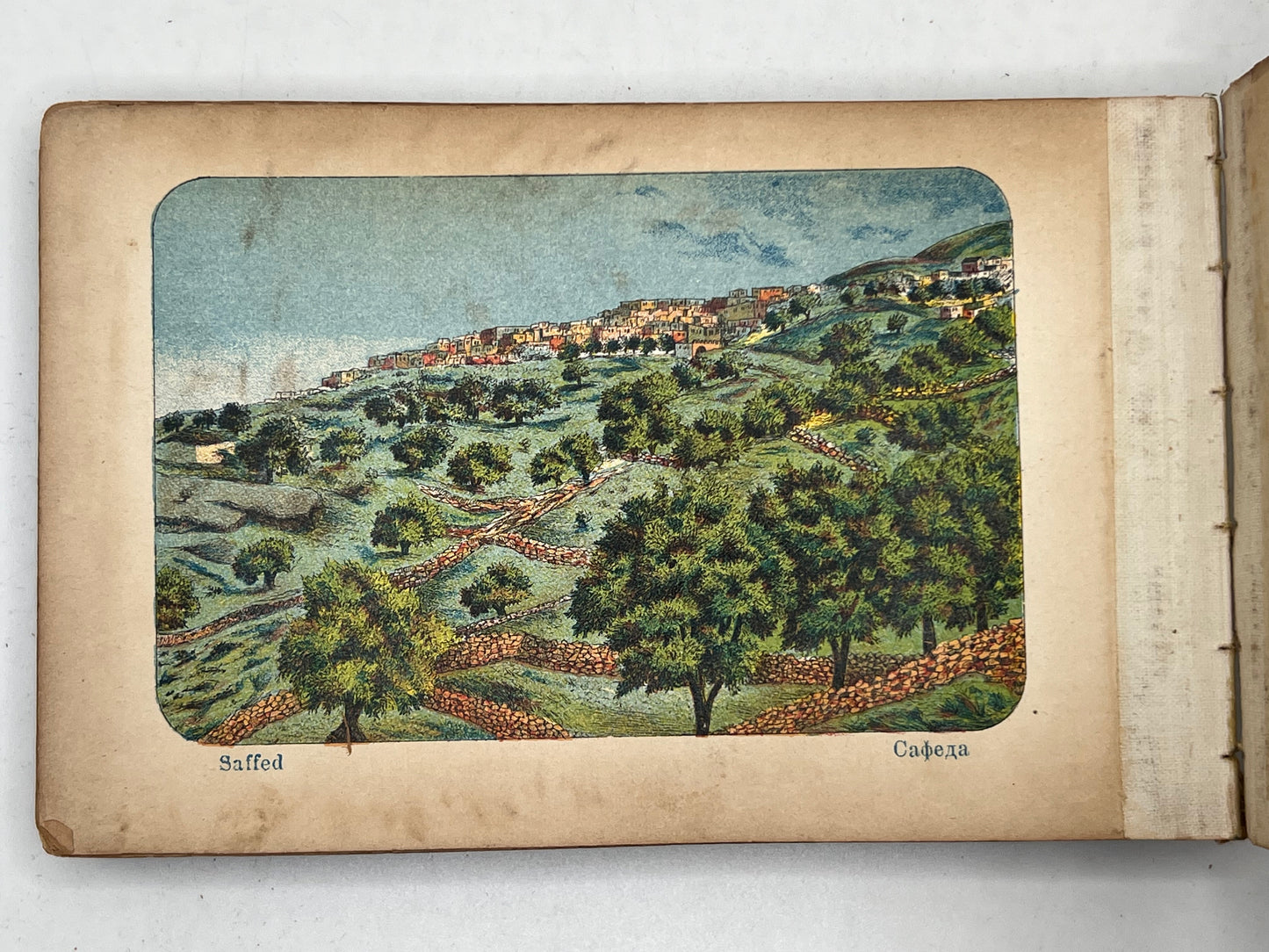 Flowers & Views of the Holy Land c.1890