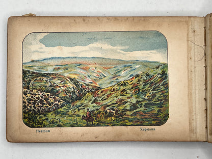 Flowers & Views of the Holy Land c.1890