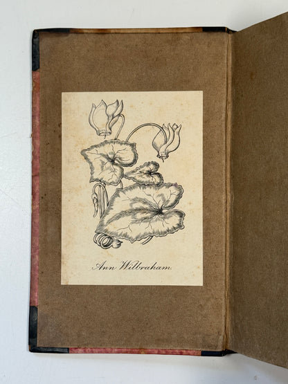 St Ronan's Well by Sir Walter Scott 1824 First Edition