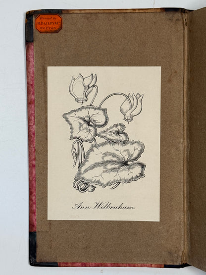 St Ronan's Well by Sir Walter Scott 1824 First Edition