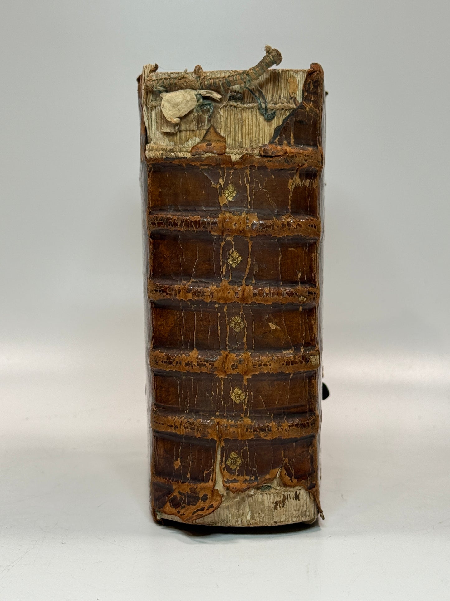 1549 Latin Bible; Kerver