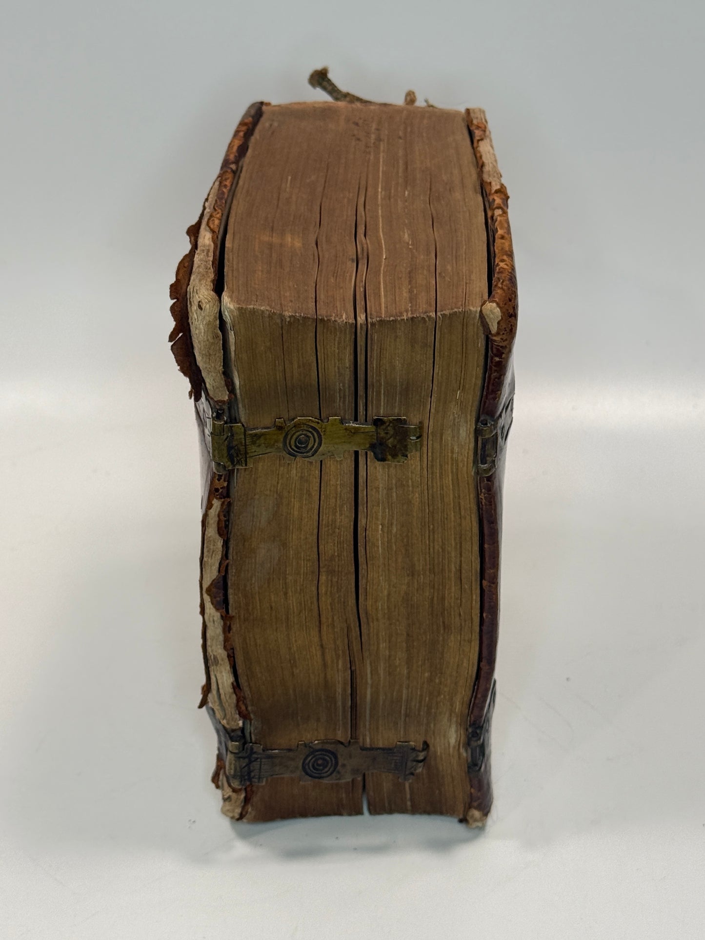 1549 Latin Bible; Kerver