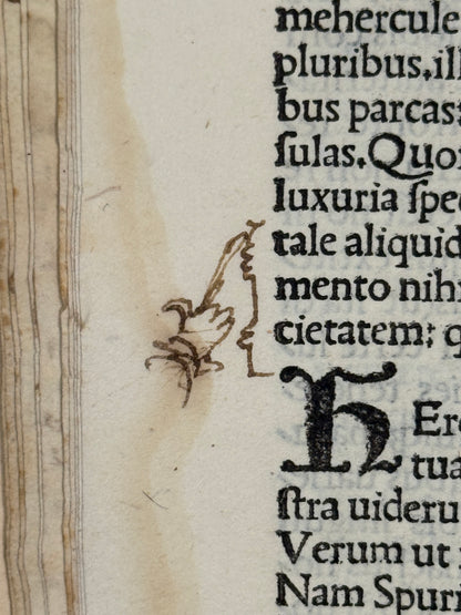 1501 Letters of Pliny the Younger