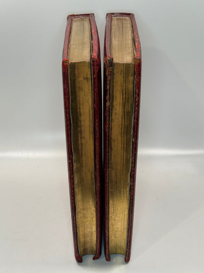 Don Quixote by Miguel de Cervantes, Gustave Doré