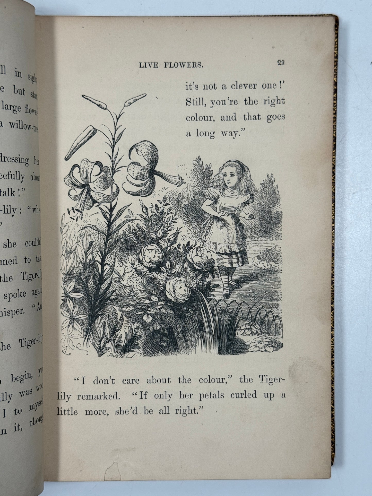 Through the Looking Glass by Lewis Carroll 1872 First Edition