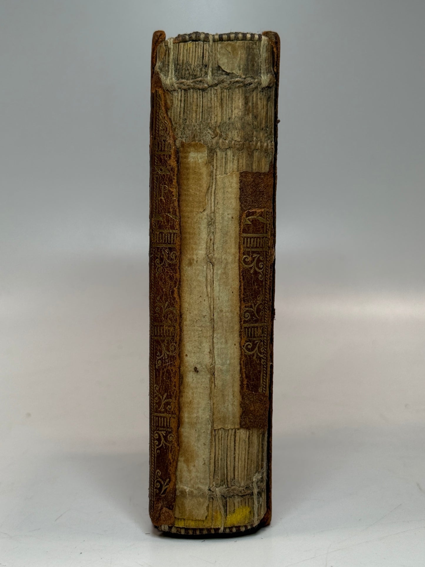 The Twenty Comedies of Maccius Plautus 1549 Post-Incunable