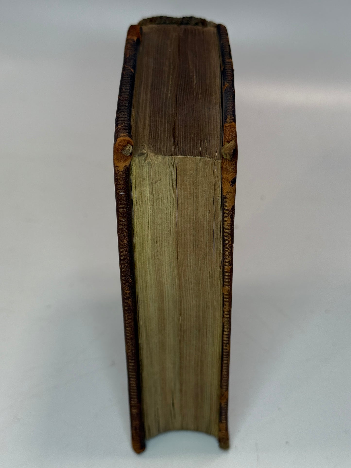 The Twenty Comedies of Maccius Plautus 1549 Post-Incunable