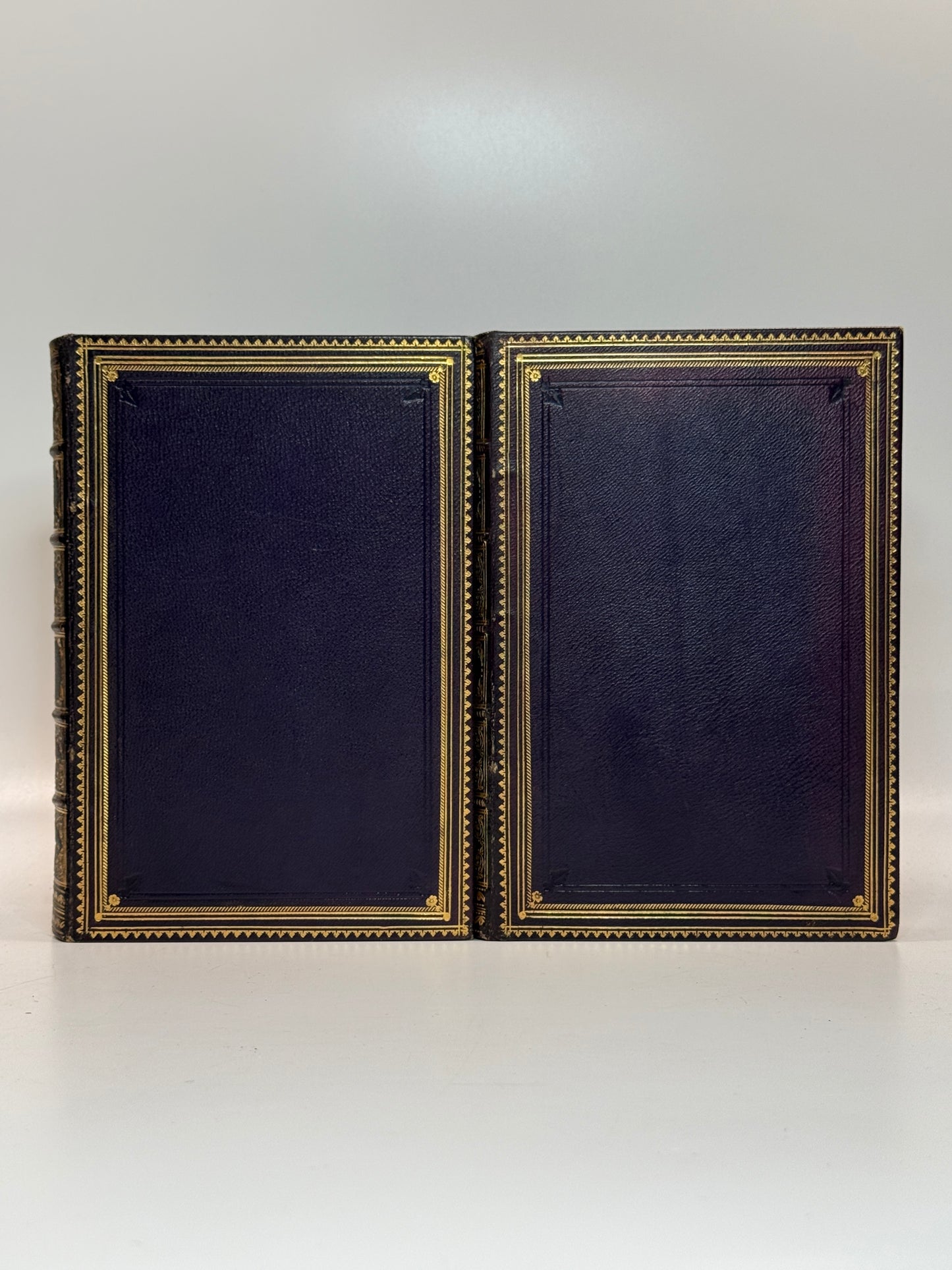 The Life of Thomas Arnold 1881