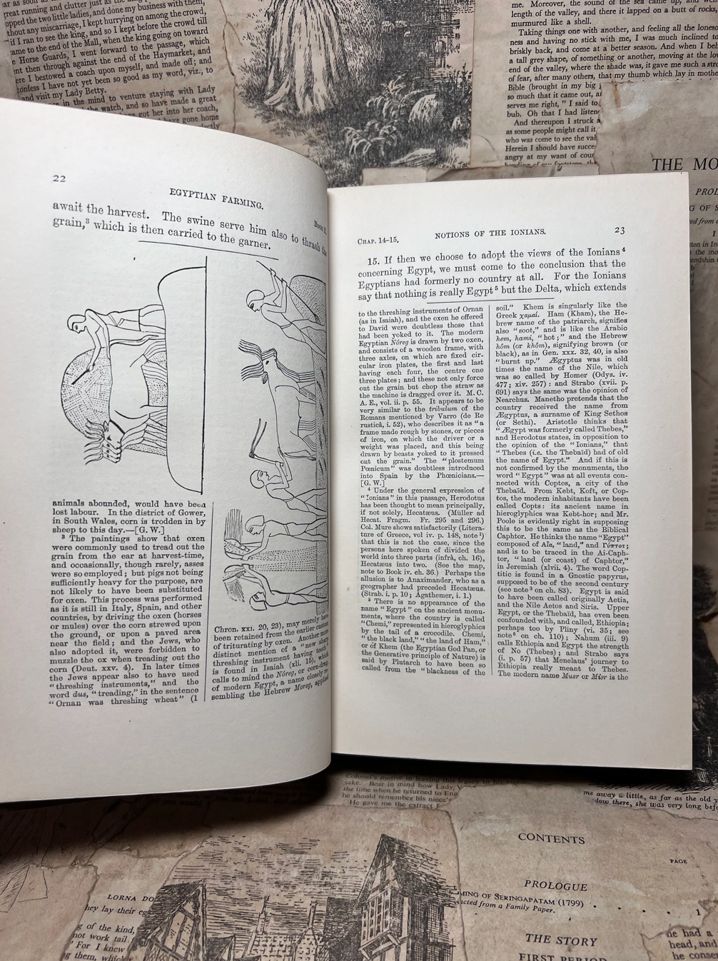 The History of Herodotus 1880 Finely Bound by Bickers & Son