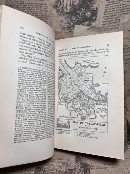 The History of Herodotus 1880 Finely Bound by Bickers & Son