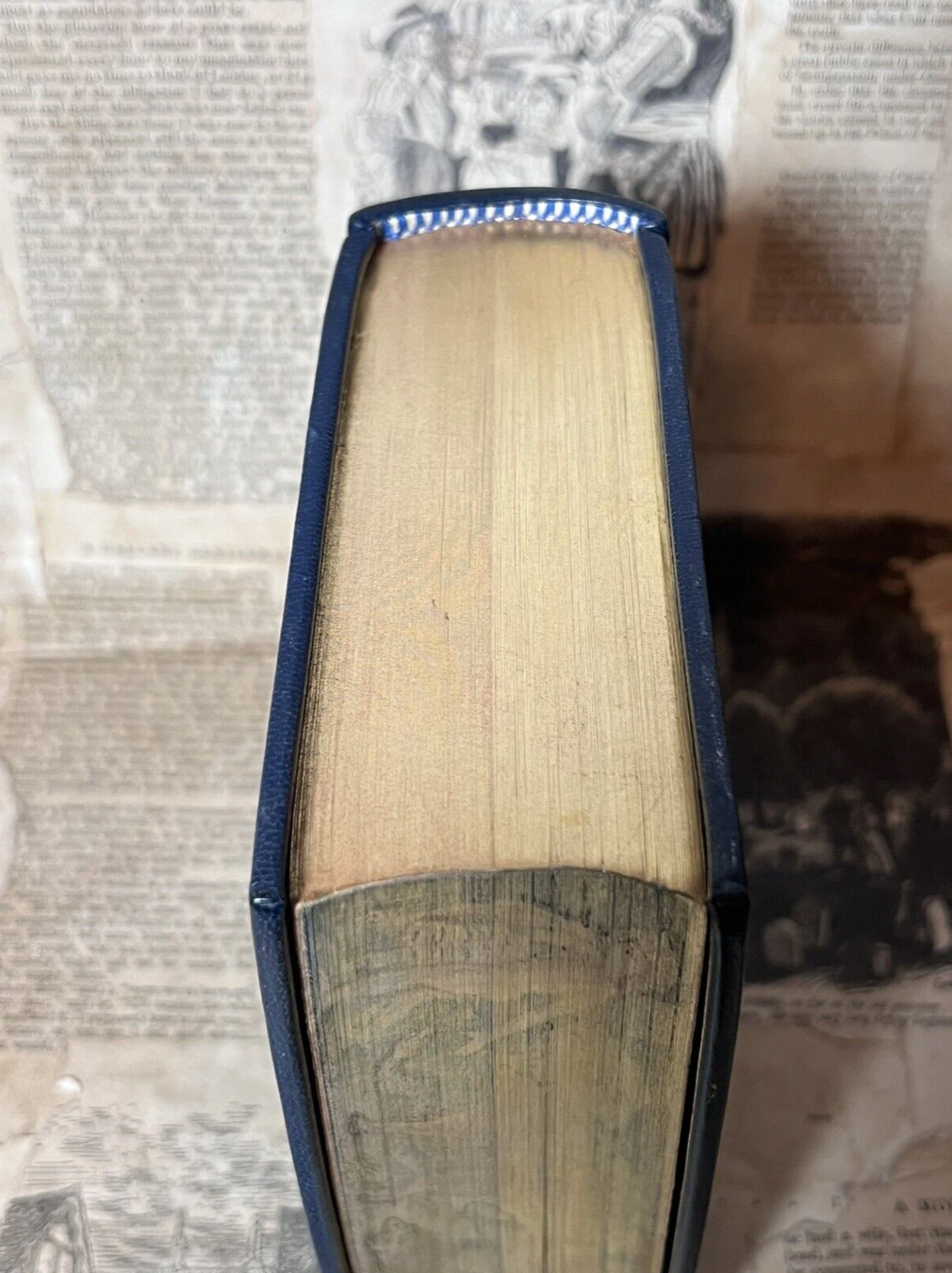 The Jungle Books by Rudyard Kipling - Fore-Edge Painting