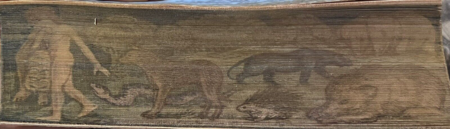 The Jungle Books by Rudyard Kipling - Fore-Edge Painting