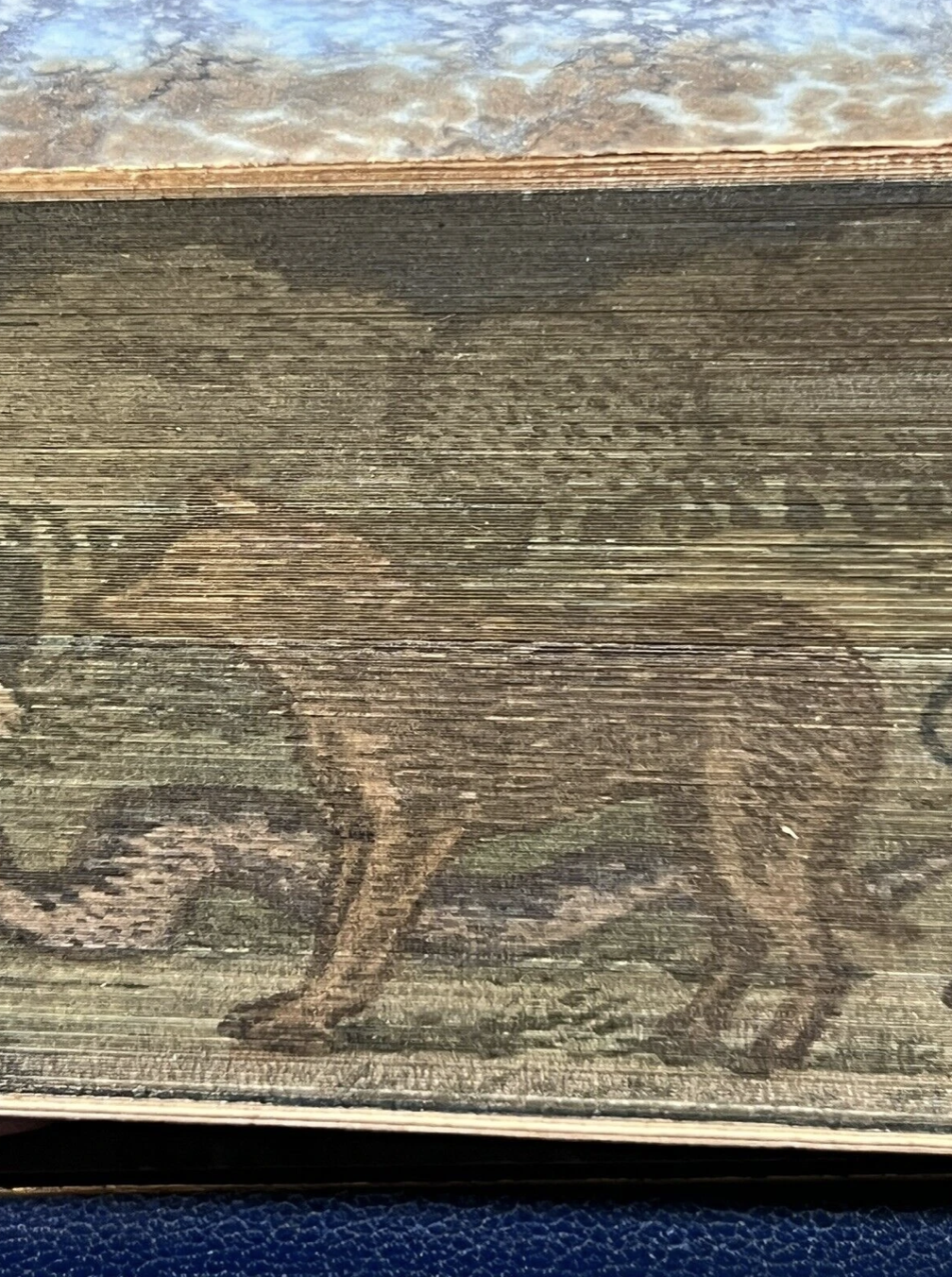 The Jungle Books by Rudyard Kipling - Fore-Edge Painting