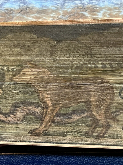 The Jungle Books by Rudyard Kipling - Fore-Edge Painting