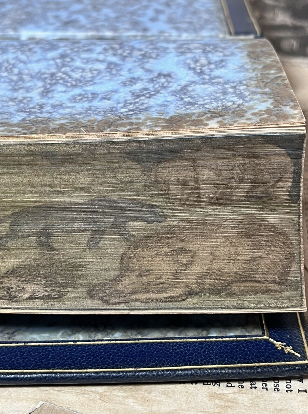 The Jungle Books by Rudyard Kipling - Fore-Edge Painting