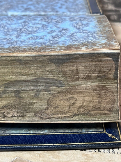 The Jungle Books by Rudyard Kipling - Fore-Edge Painting