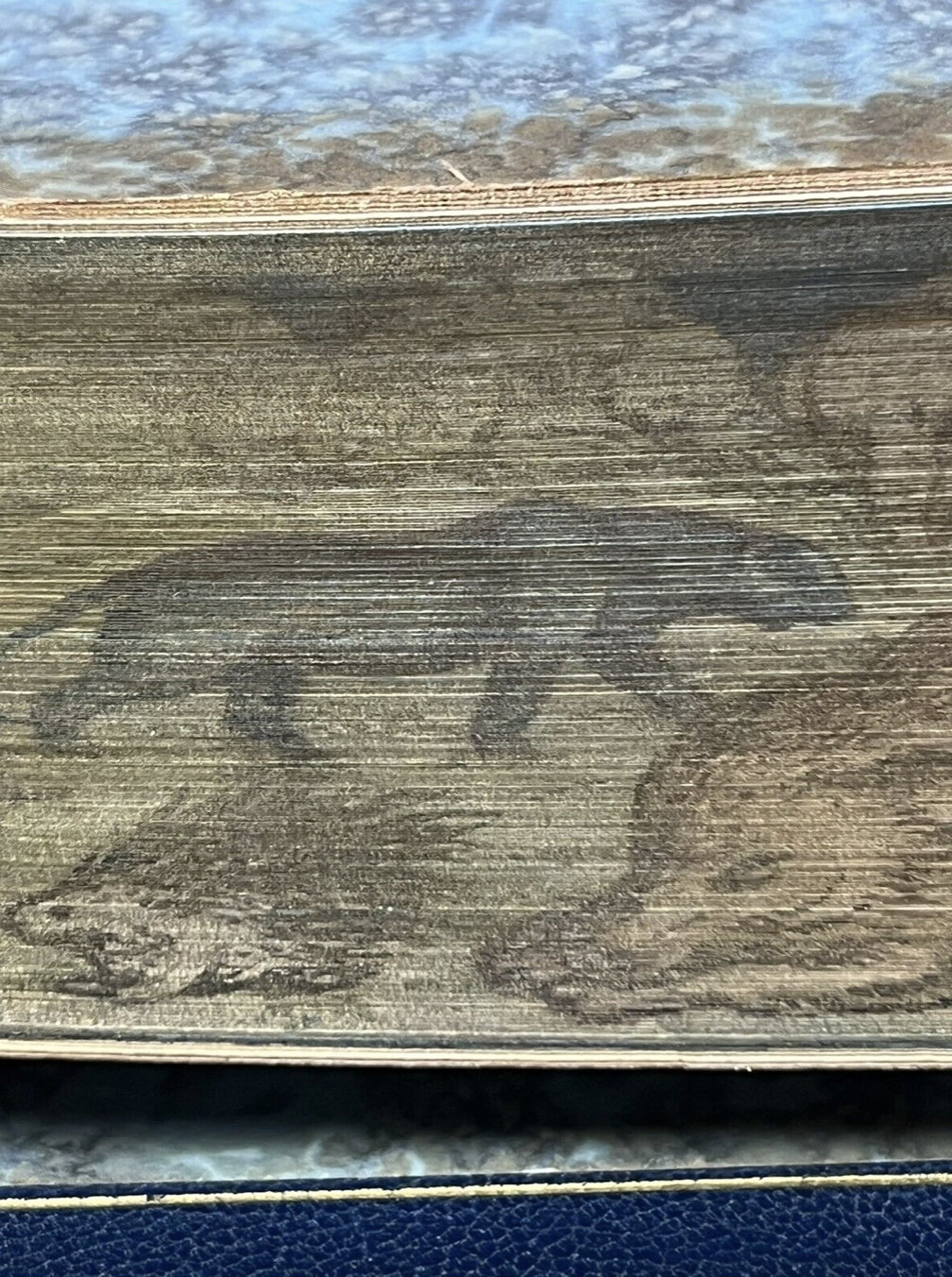 The Jungle Books by Rudyard Kipling - Fore-Edge Painting