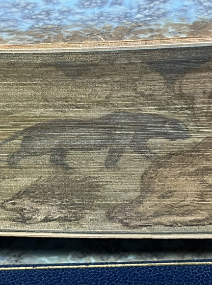 The Jungle Books by Rudyard Kipling - Fore-Edge Painting