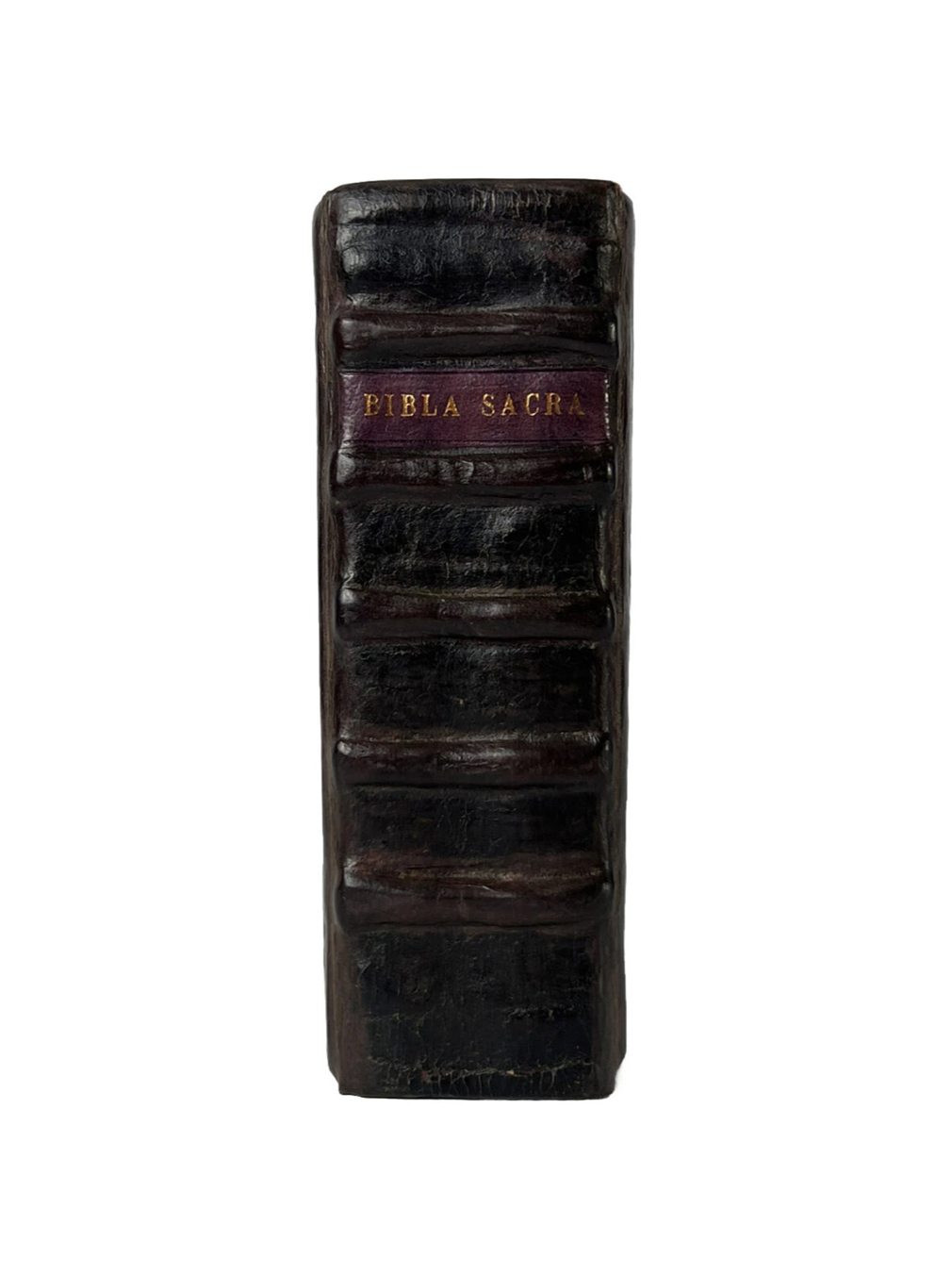 Biblia Sacra 1534 Early Vulgate Bible