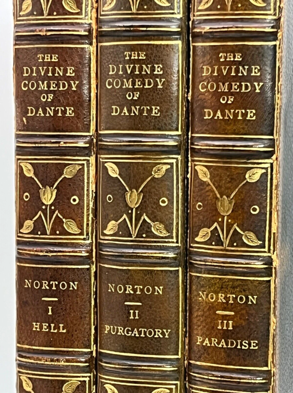 Dante's Divine Comedy 1903: A Finely Bound Edition