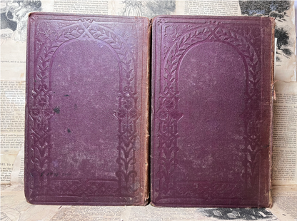 Our Mutual Friend by Charles Dickens 1865 Original Cloth First Edition First Impression