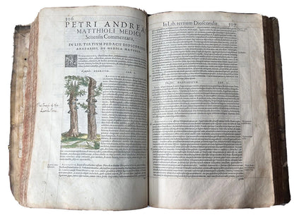 Senensis Commentarii by Pietro Andrea Mattioli 1554 Hand Coloured Herbal