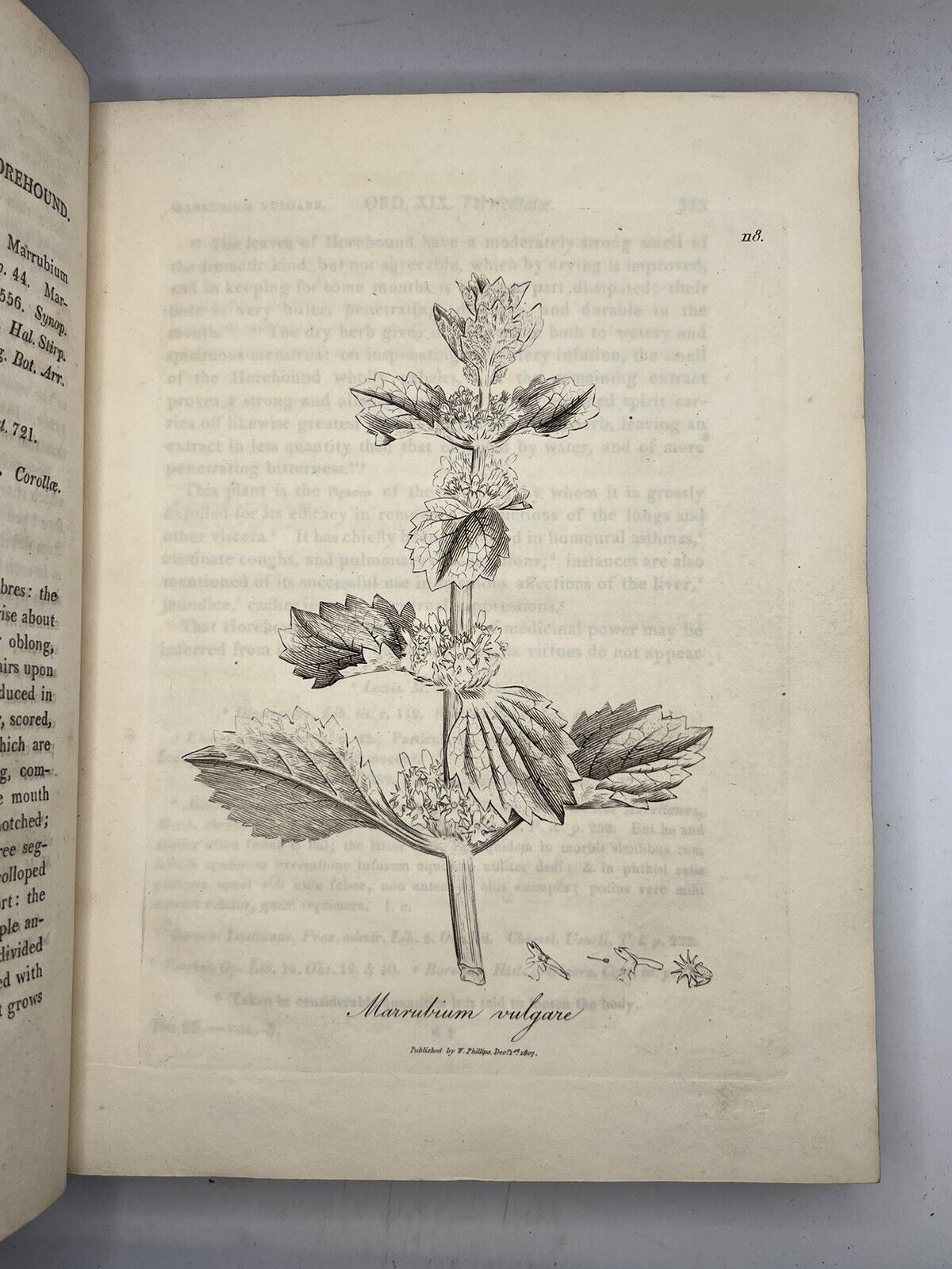 Woodville's Medical Botany 1810