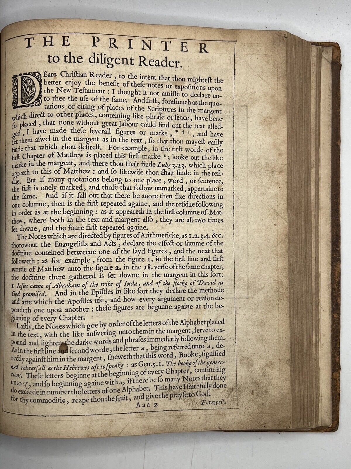 Geneva Bible 1599