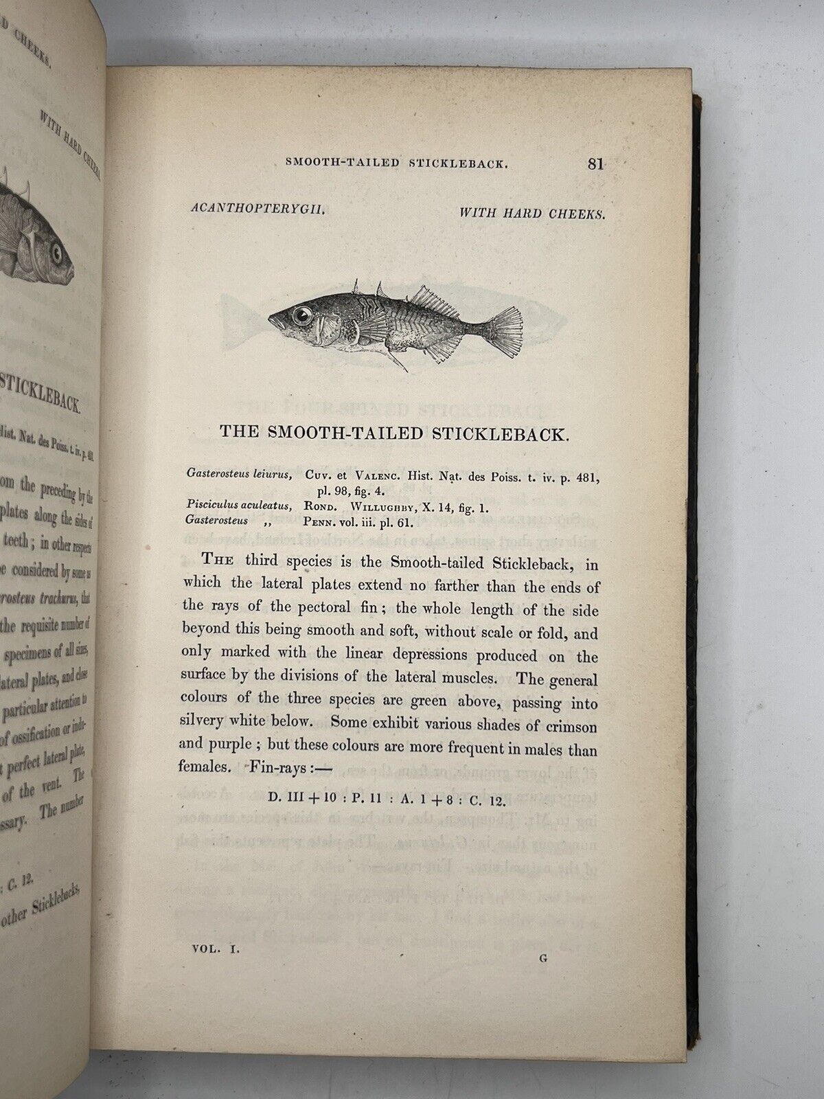 A History of British Fishes by William Yarrell 1836 First Edition