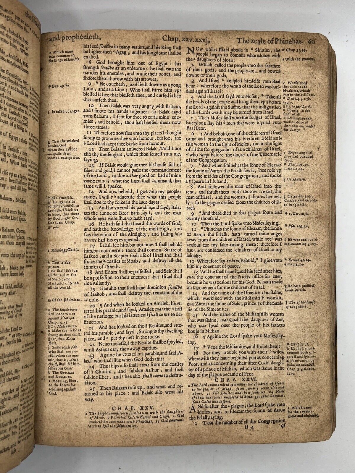 Geneva "Breeches" Bible 1599