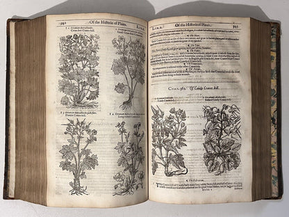 John Gerard's Herbal 1636