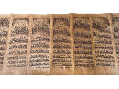 Complete 18th Century Torah Scroll: 5 Books of Moses