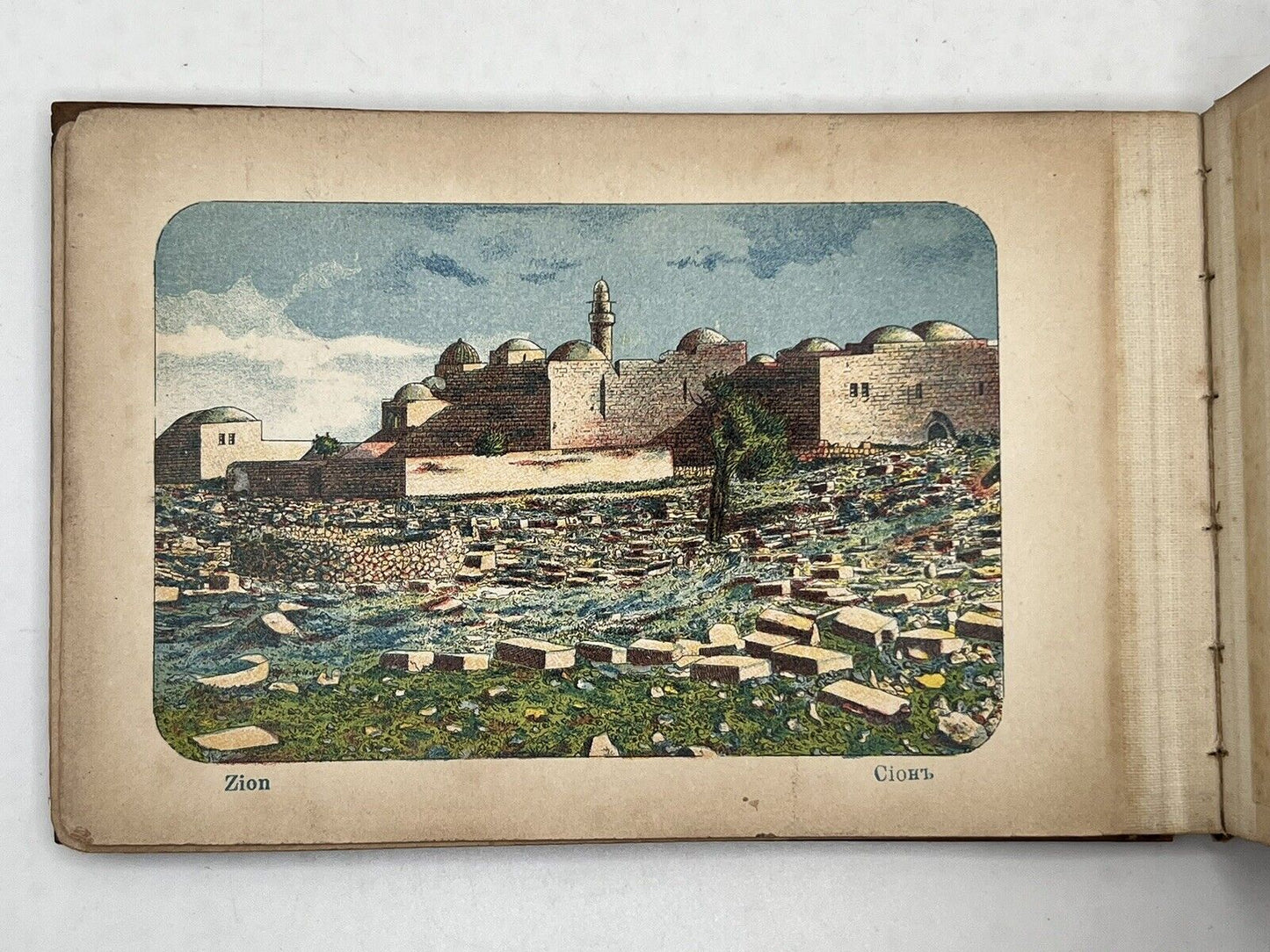 Flowers & Views of the Holy Land c.1890