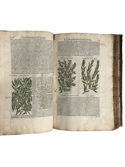 Pietro Andrea Mattioli Herbal 1554 Hand Coloured Woodcuts