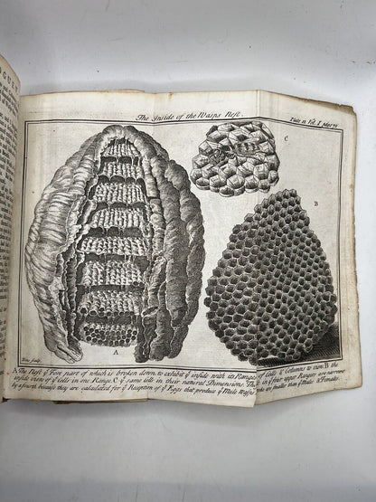 Discourses on Natural History 1739