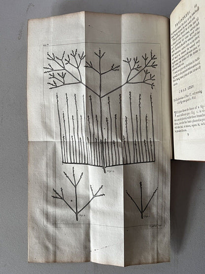 A Treatise of Fruit-Trees by Thomas Hitt 1768