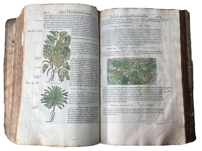 Senensis Commentarii by Pietro Andrea Mattioli 1554 Hand Coloured Herbal