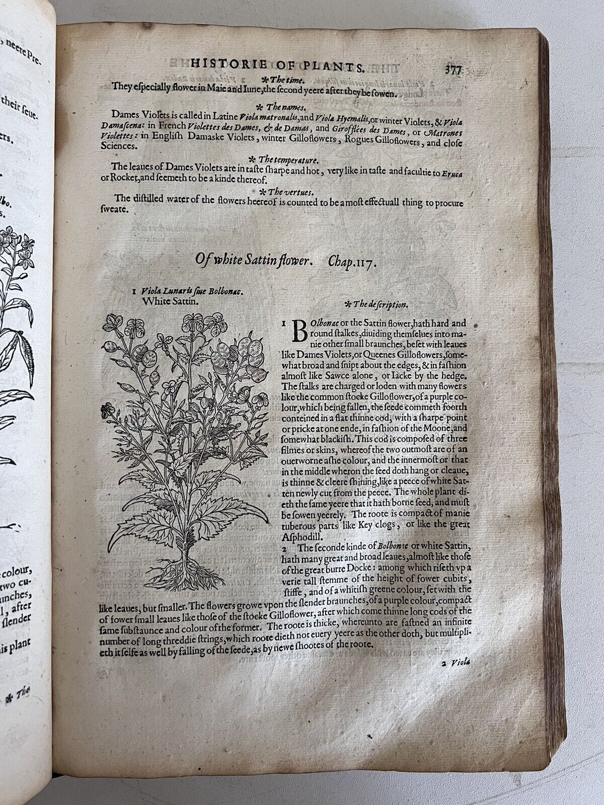 The History of Plants by John Gerard 1597 First Edition