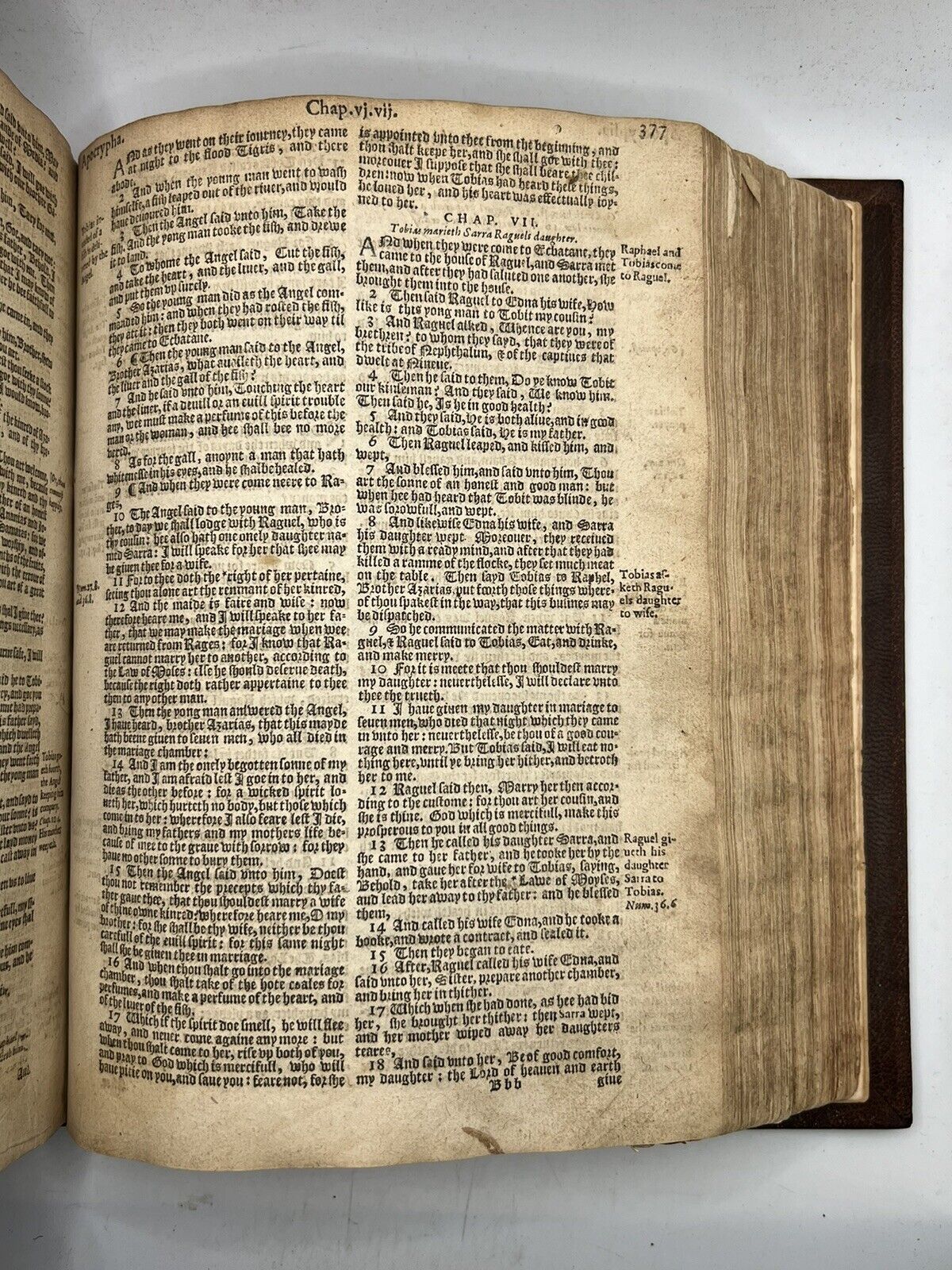 Antique Bible 1608 Geneva Bible