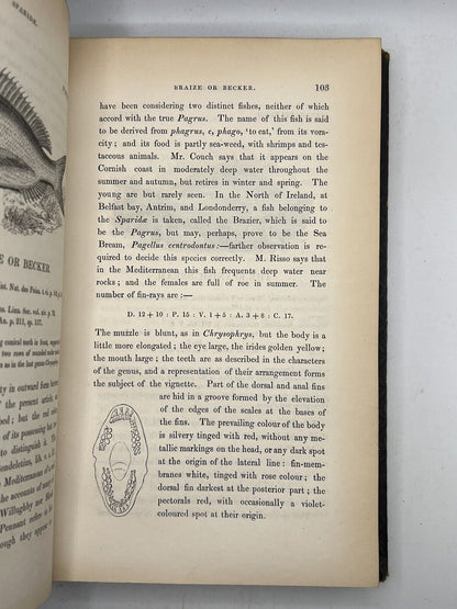 A History of British Fishes by William Yarrell 1836 First Edition