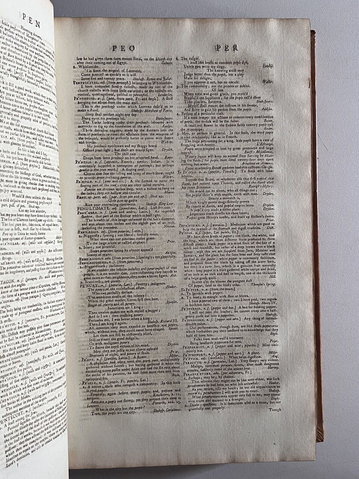 Samuel Johnson's Dictionary of the English Language 1784