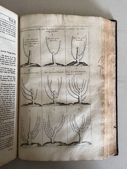 The Complete Gardner by John Evelyn 1693 First Edition