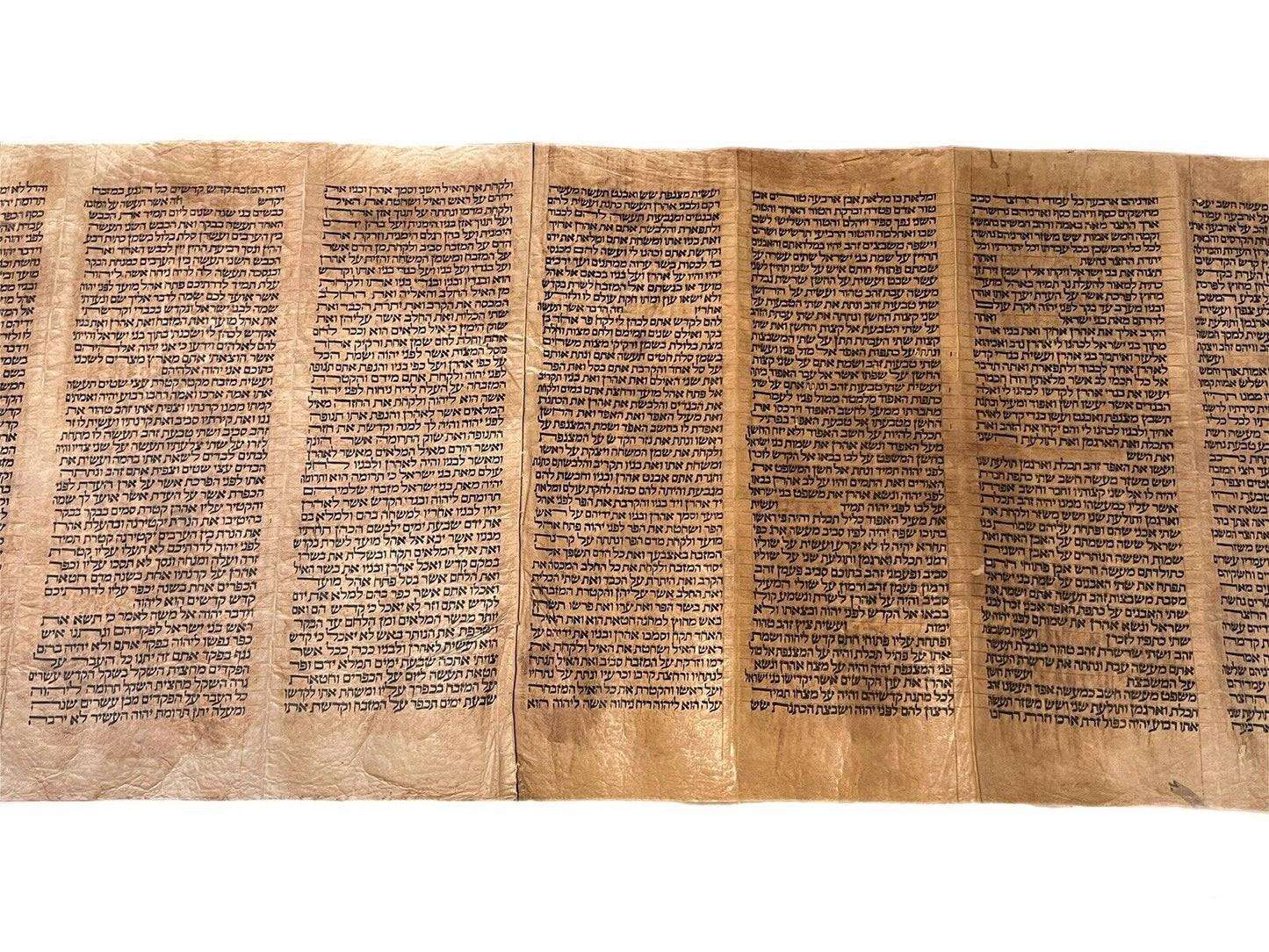 Complete 18th Century Torah Scroll: 5 Books of Moses