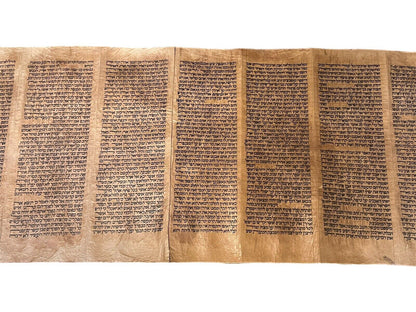 Complete 18th Century Torah Scroll: 5 Books of Moses