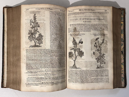 John Gerard's Herbal 1636