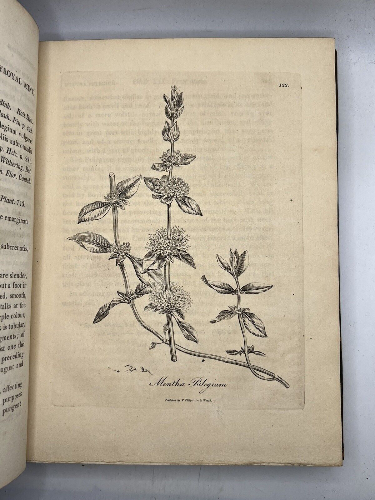 Woodville's Medical Botany 1810