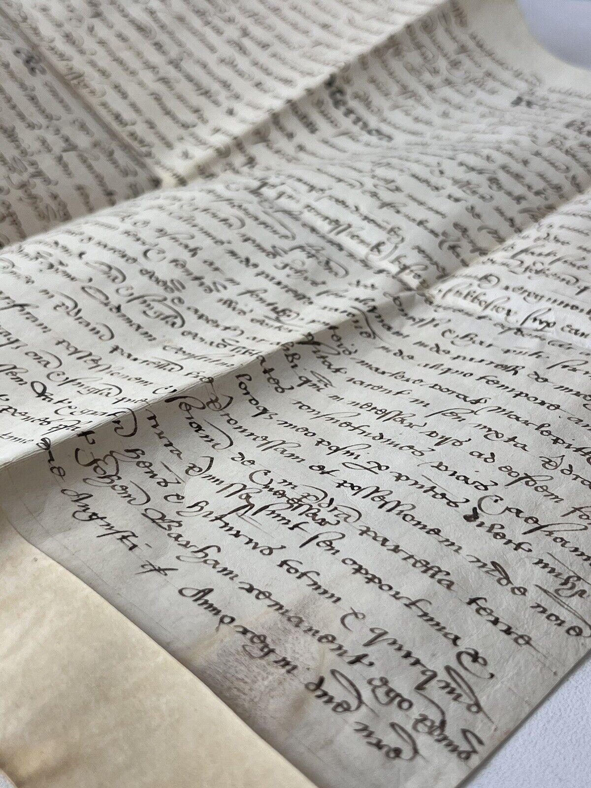 William Shakespeare Associated Vellum Document Dated 1599 Elizabethan