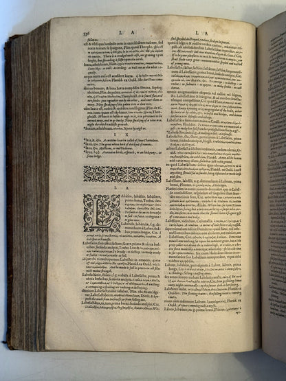 Trilingual Latin-Greek-English Lexicon by Guillaume Morel 1583